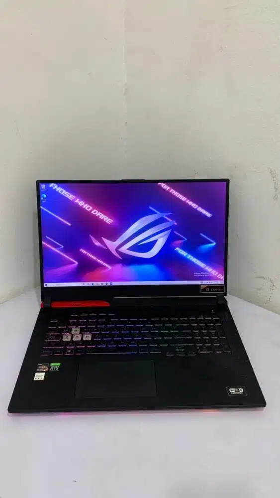 ASUS ROG STRIX G713IE Gaming Editing