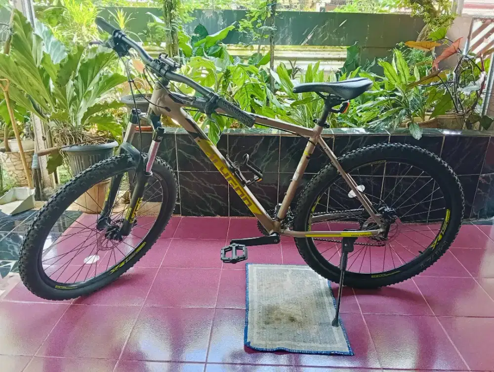 Sepeda Polygon Laki Laki