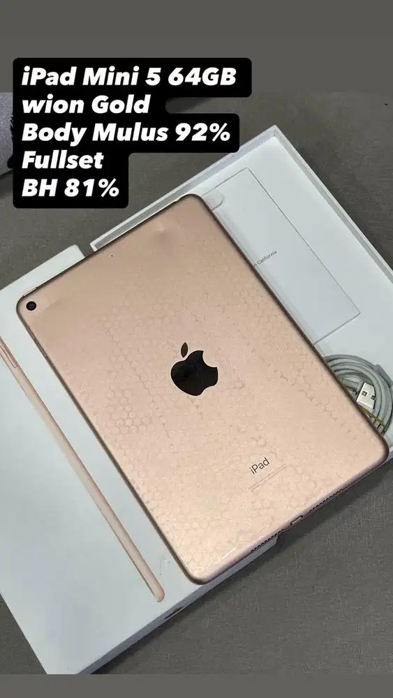 iPad Mini 5 64GB Gold wifi only