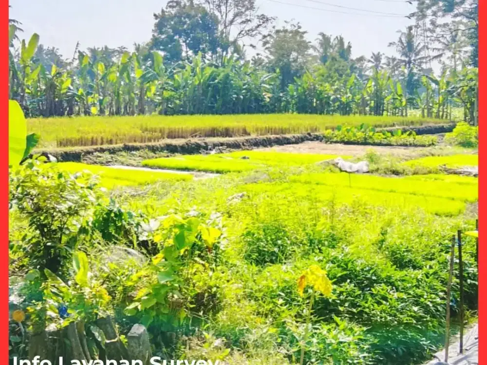 Tanah Jogja 2 Menit Pasar Gentan Jalan Kaliurang km9