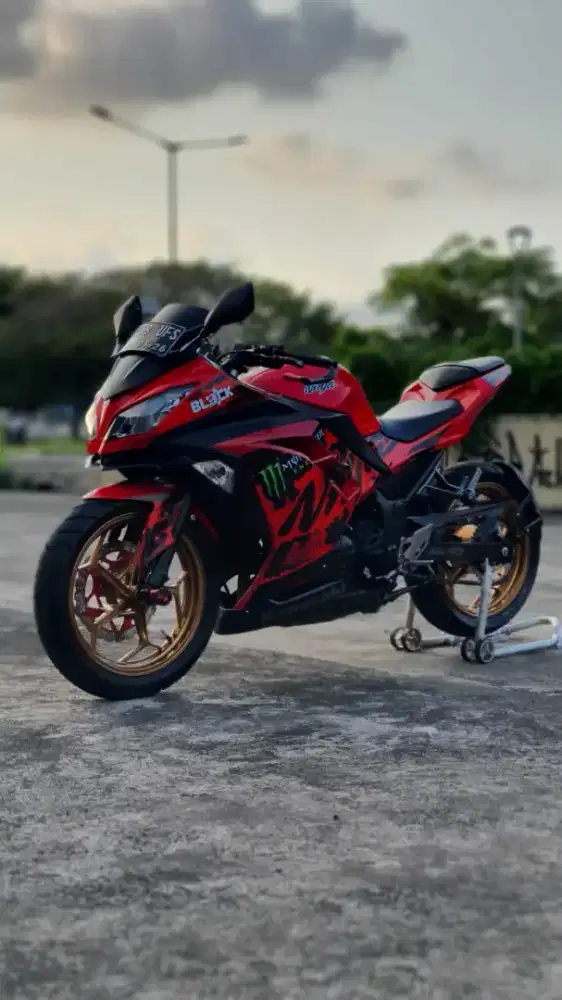 Kawasaki ninja f1 250