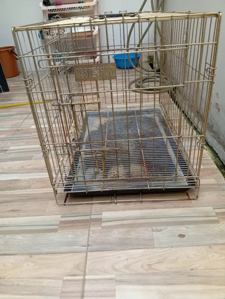 Kandang kucing atau kadang kelinci