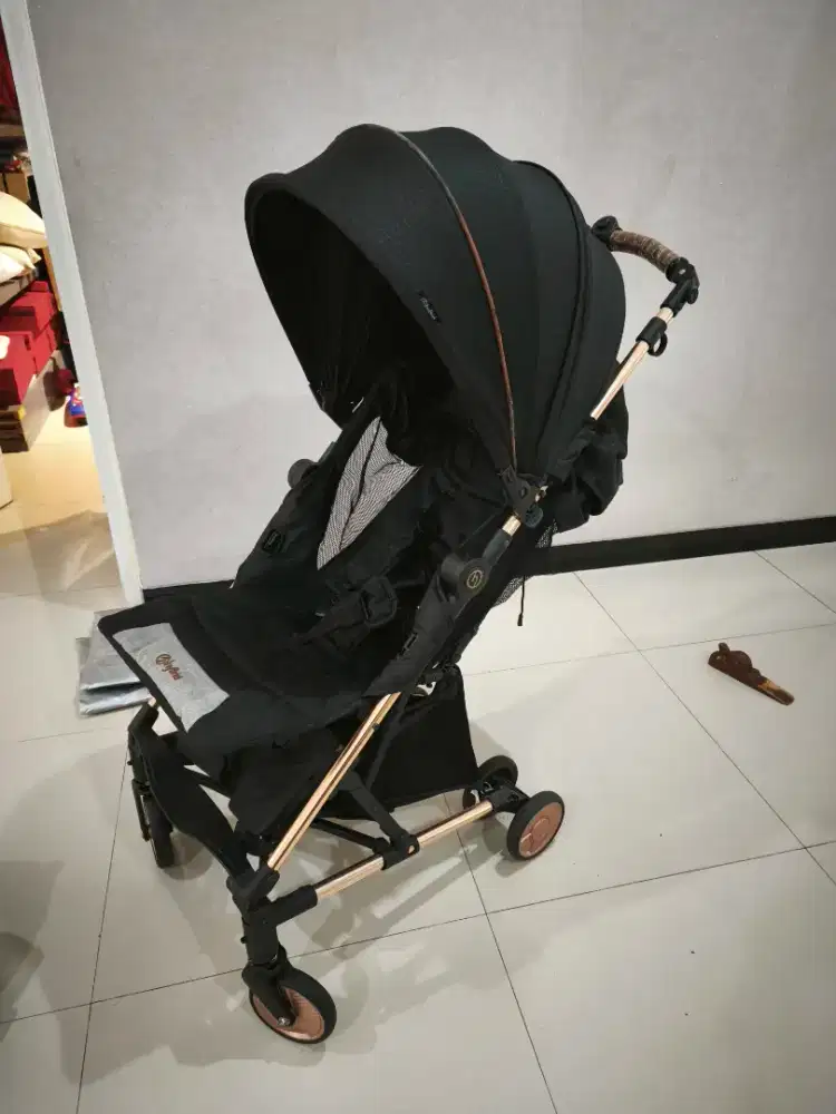 Stroller carry on hybrid