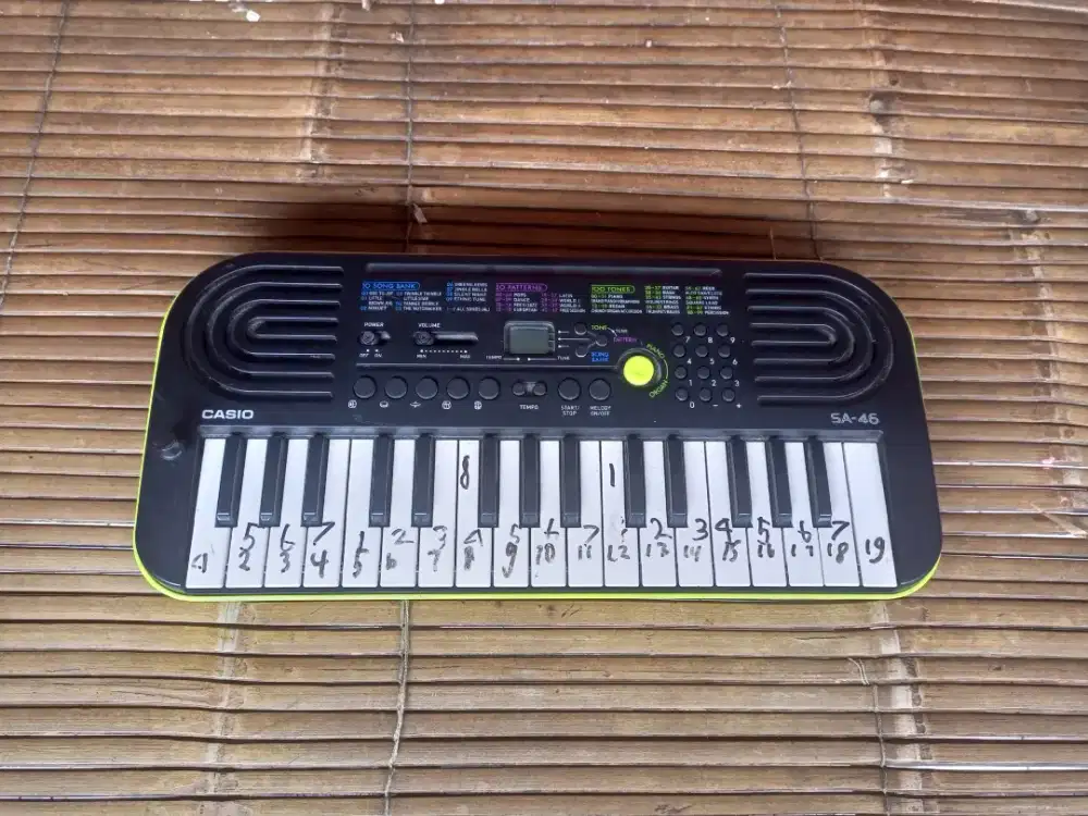 Casio SA-46 cocok buat pemula