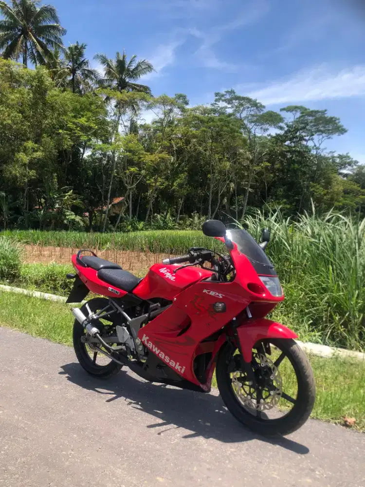 Kawasiki ninja rr 2013