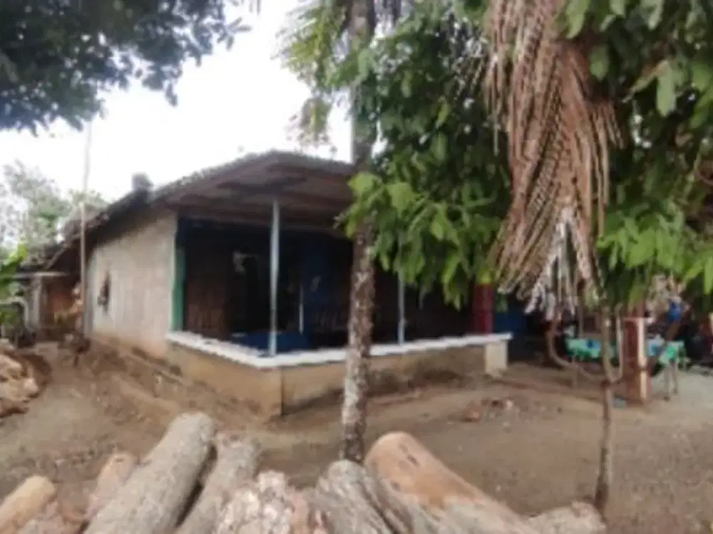 DIJUAL TANAH LUAS IMOGIRI – BONUS BANGUNAN & PINGGIR JALAN