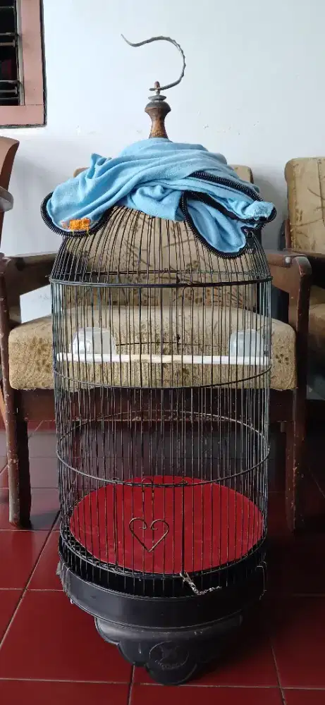 Sangkar/ Kandang Burung Bekas + Kerodong