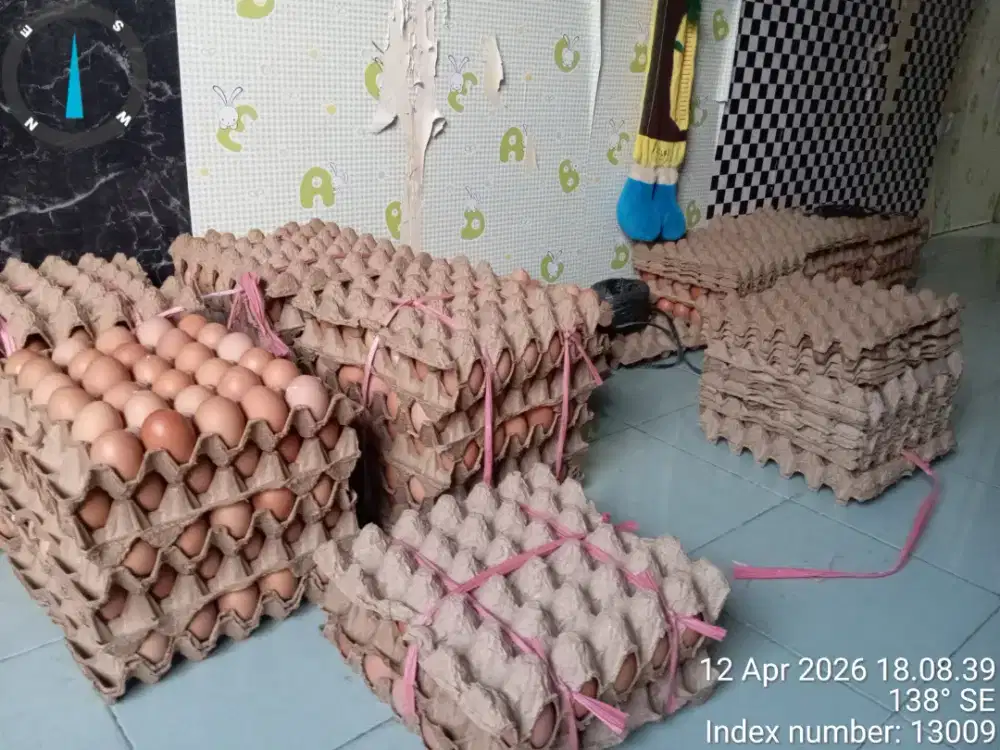 Jual telor ayam