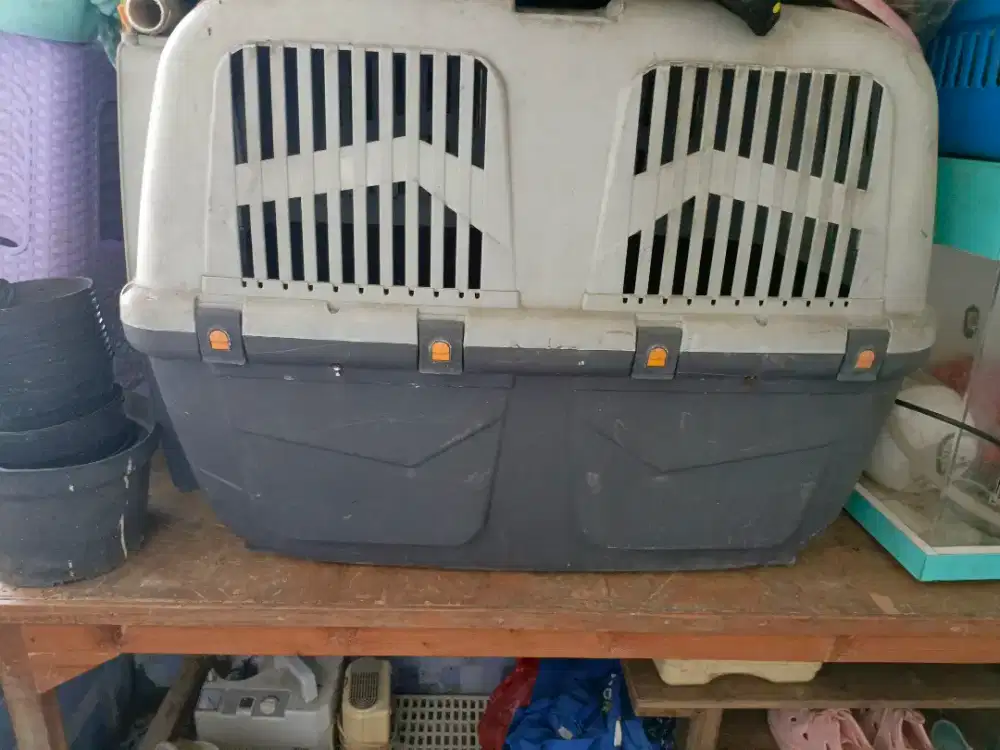 Petkargo jumbo kekar tebal