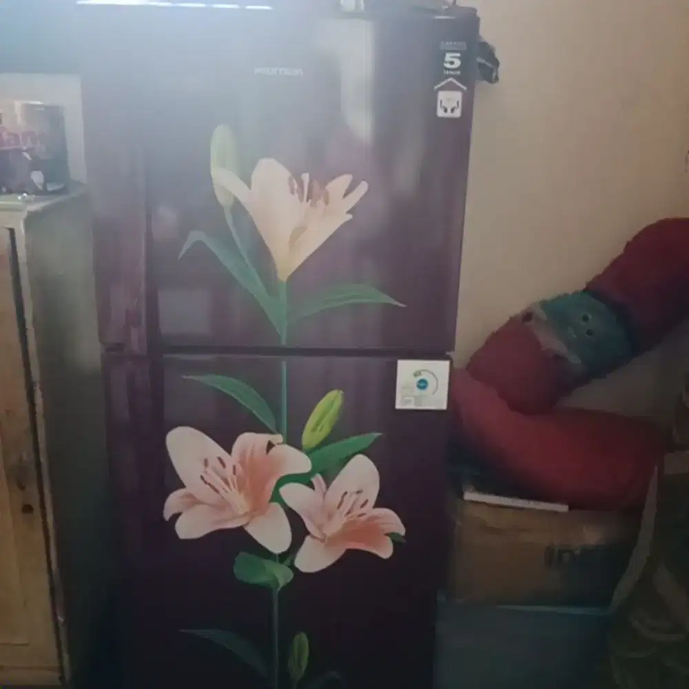 di jual kulkas 2 pintu