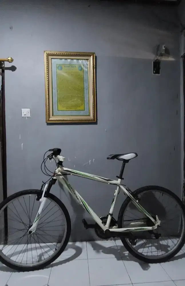 Sepeda Gunung Wimcycle Roadchamp S