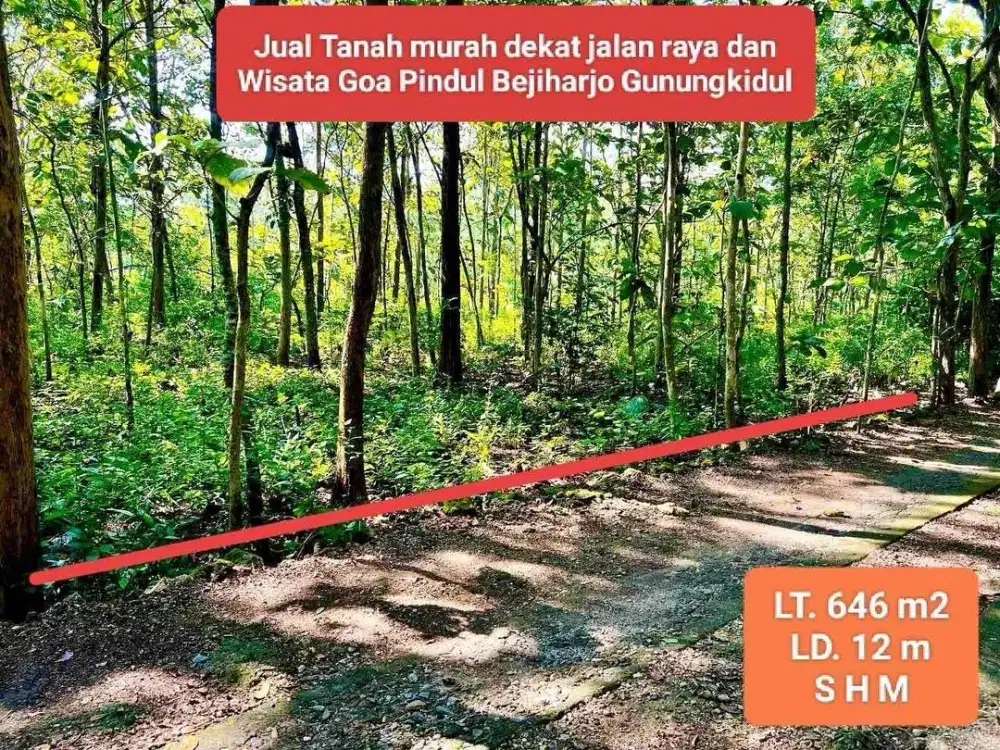 Jual tanah subur strategis dekat wisata goa pindul hanya 80 juta nego