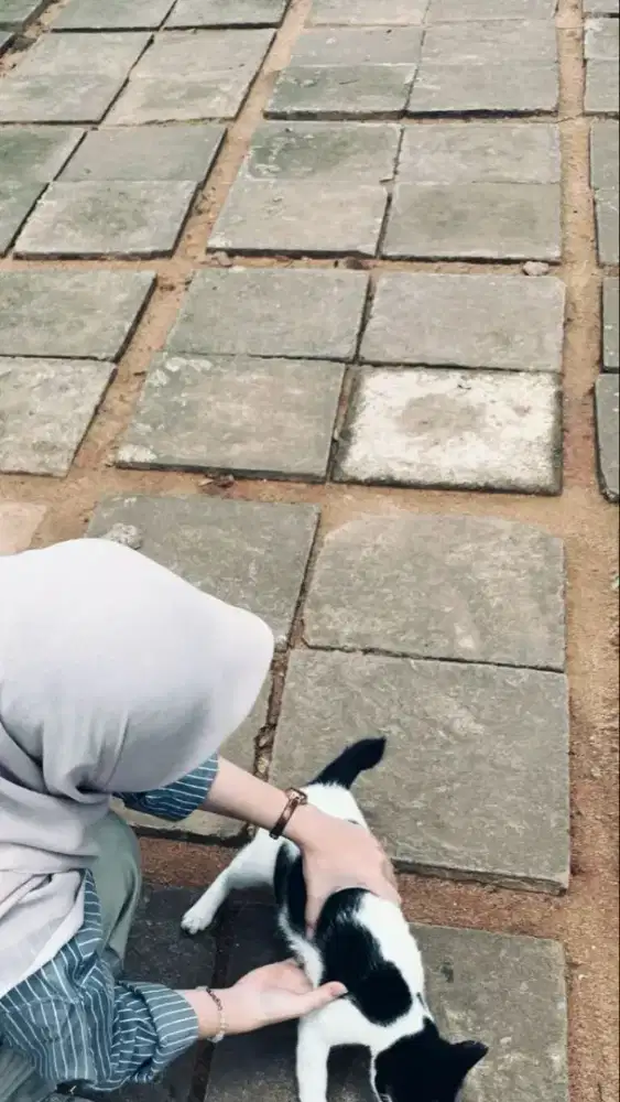 cari pekerjaan yg bisa PP daerah cimahi/bandung