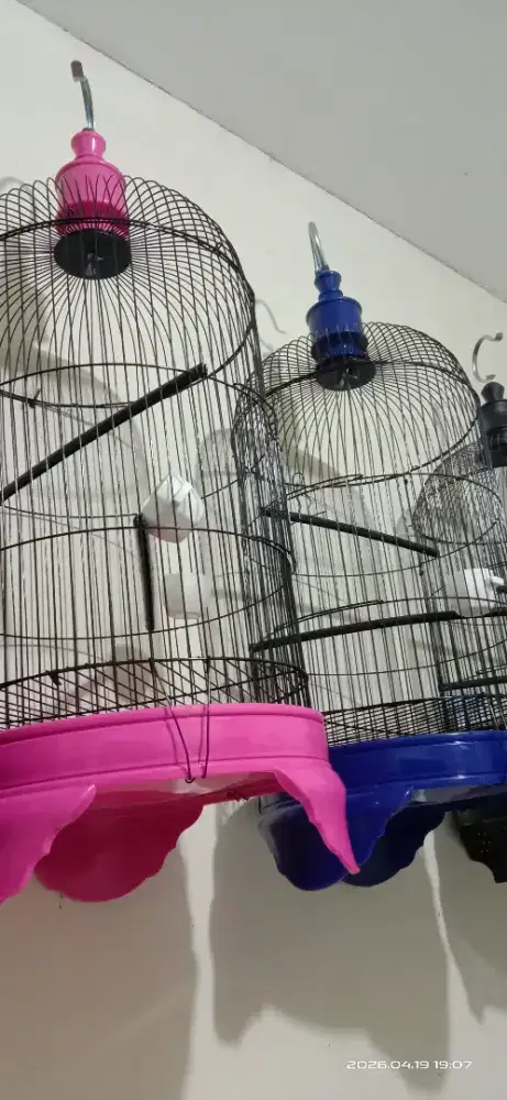 kandang pvc baru