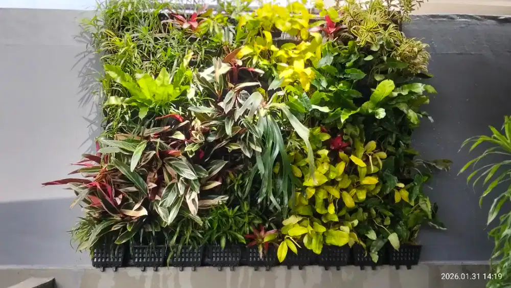 Pasang taman vertical garden/taman dinding tembok