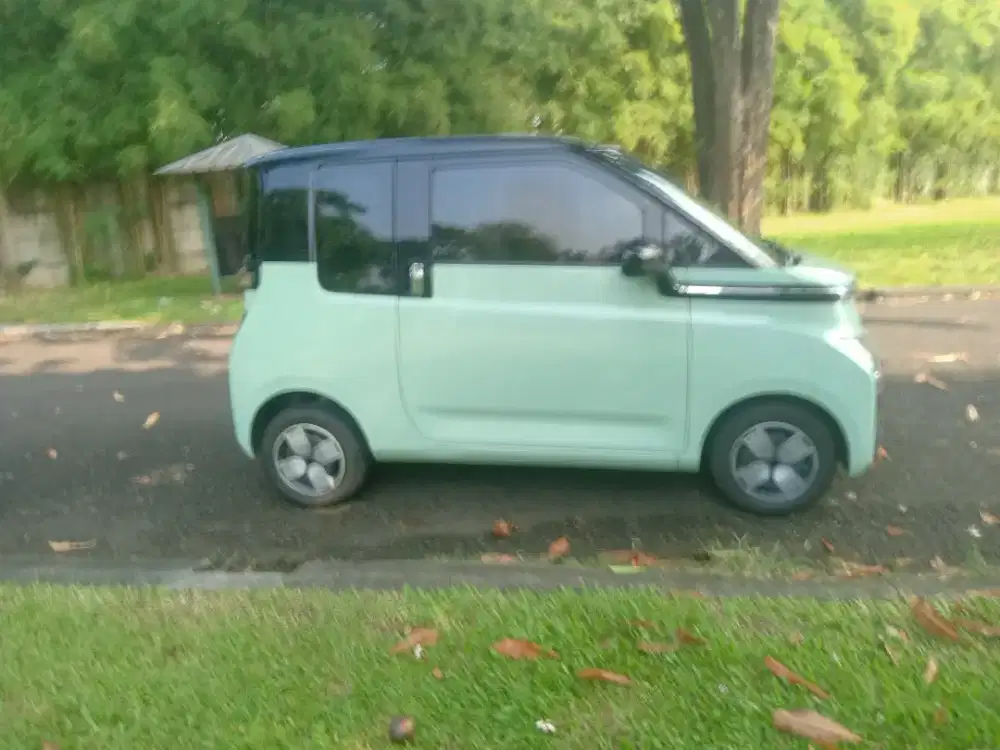 Wulling Air Ev Pro Long Range