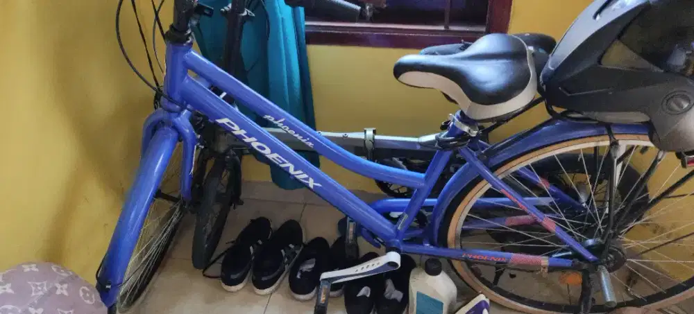 Sepeda phoenix warna biru