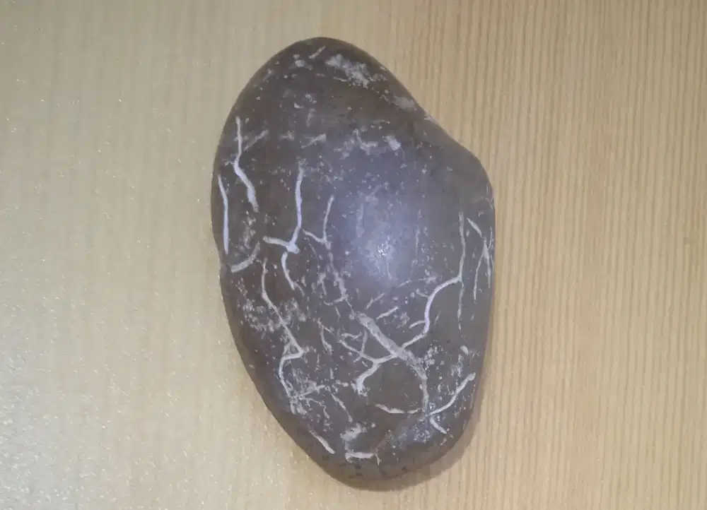 Batu mustika Kijing Bungkem