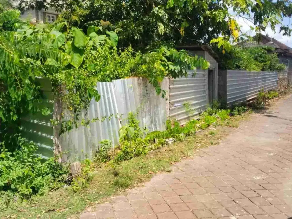 dijual tanah 5,85 are bisa dibeli 3 are IDR 600 juta per are dipurigading jimbaran Badung Bali