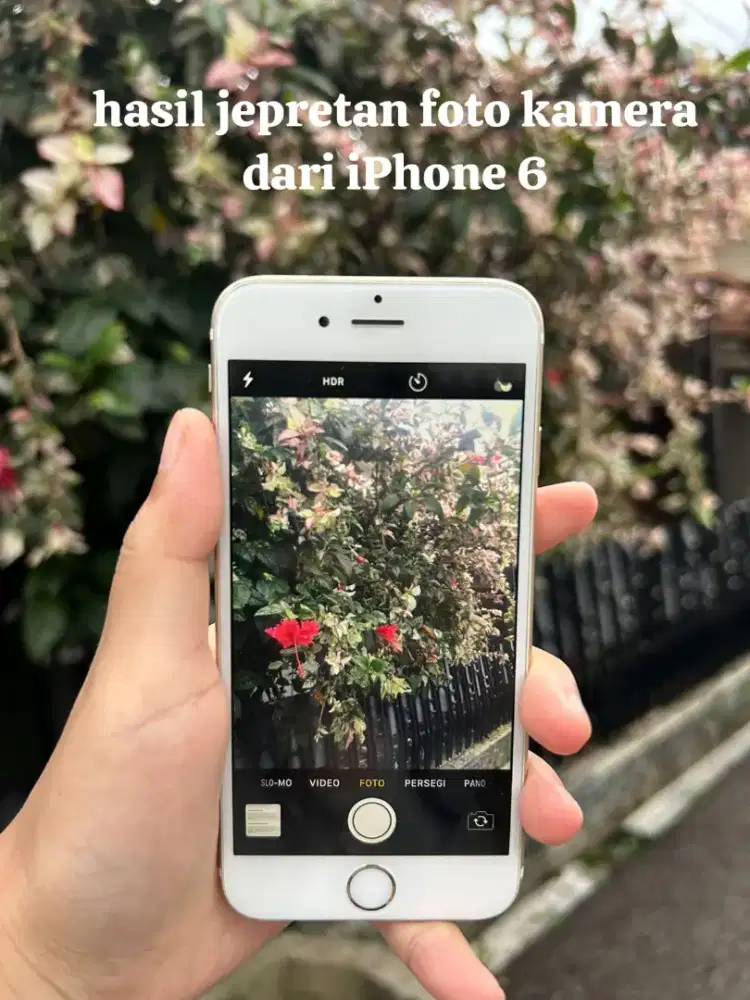 iPhone 6 32GB Gold - Tangan Pertama - Fullset Box - Original