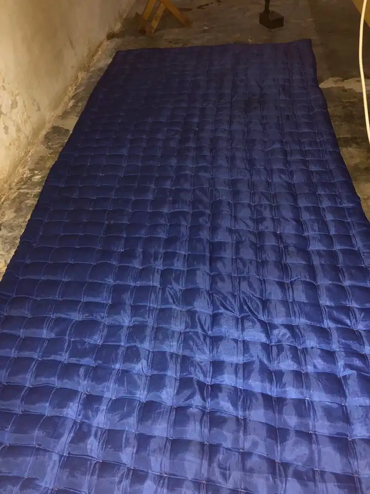 Tilap palembabg lajang