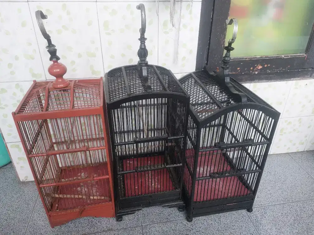 Kandang sangkar kolibri konin ciblek burcil pleci