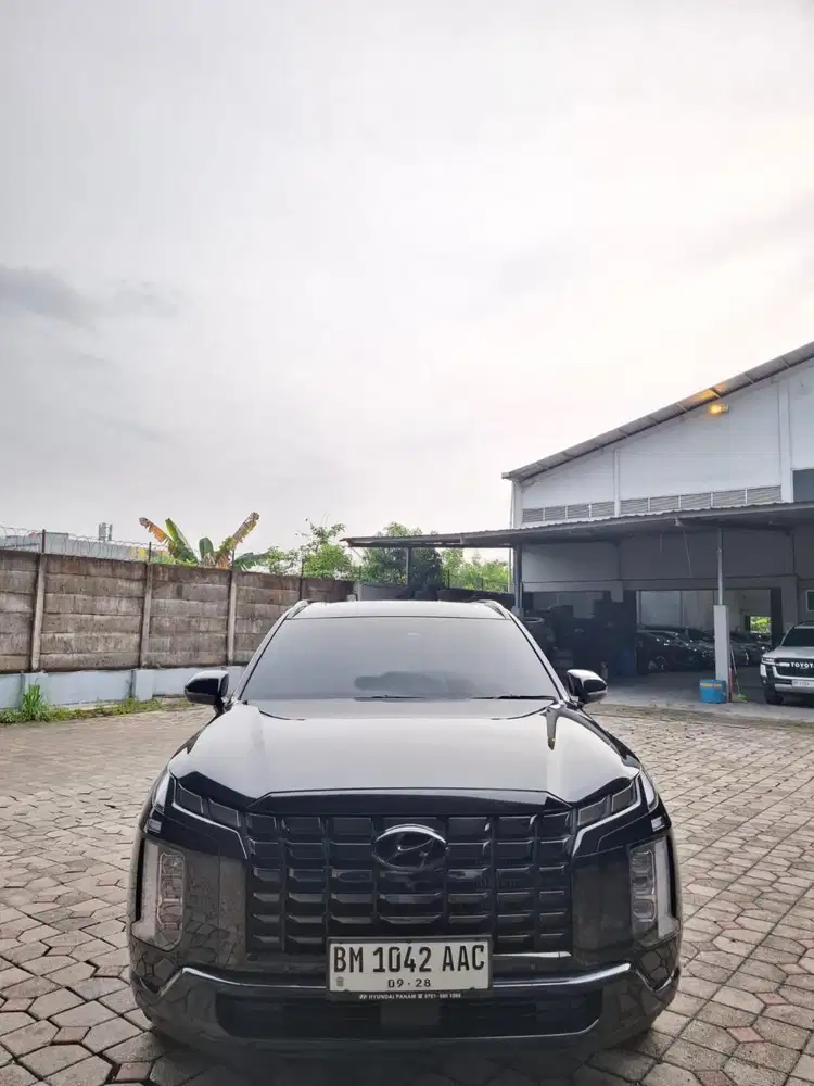 Palisade 2023 2.2 signature matic. Km 18rb antik