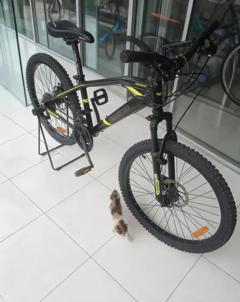Sepeda gunung MTB thrill tabibitho 24 inch