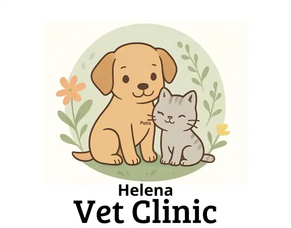 Jasa Vaksin & Steril Hewan Peliaraan