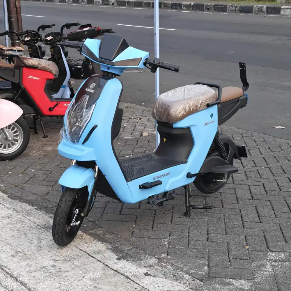 Bomm exotic X665
Promo