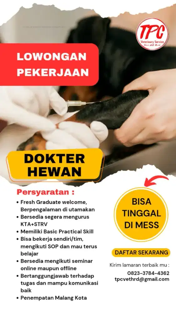 Lowongan Dokter Hewan dan Paramedis