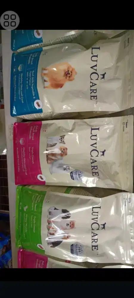 Aneka DogFood Royal Canin Rocco Murah discon spesial