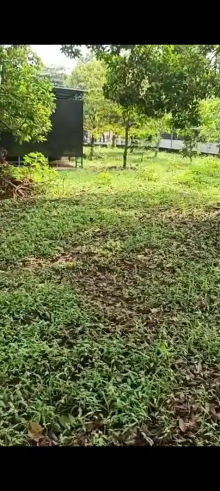 TANAH DIJUAL BONUS POHON ALPUKET