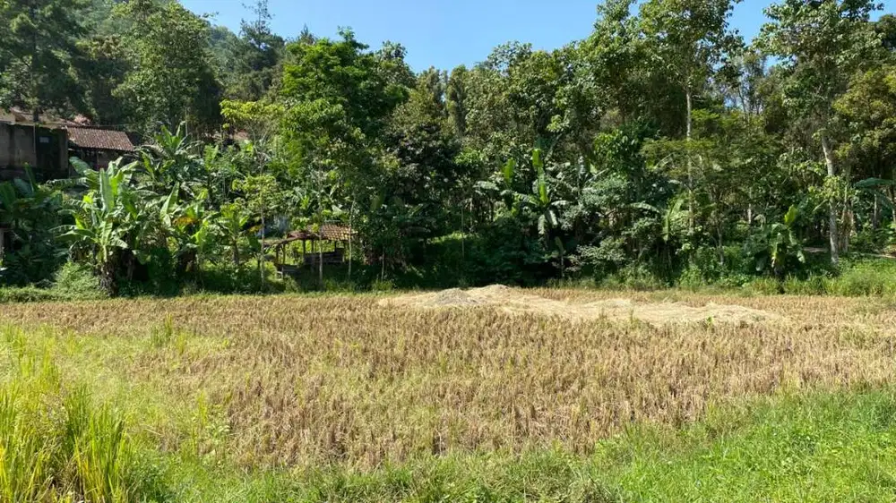 Dijual Cepat Lahan Sawah produktif dan strategis di Kec. Nagreg