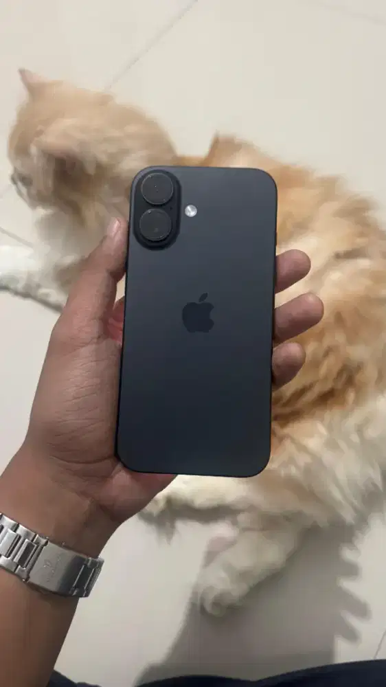 iphone 16 basic 256gb inter garansi on