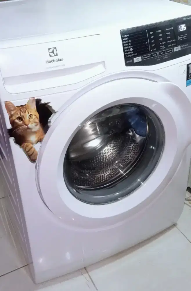 Jual cepat Mesin cuci frontloading Electrolux 8kg touchscreen,normal