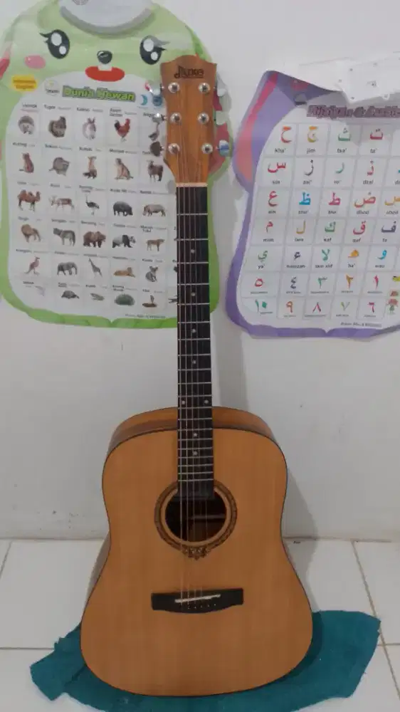 Gitar Delixe Dc 10