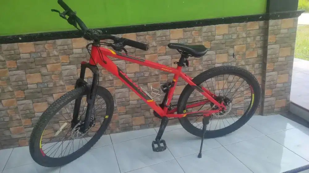 Sepeda Pacific exotic