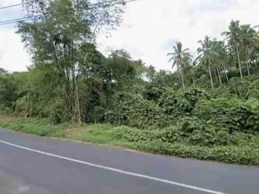 DIJUAL CEPAT TANAH STRATEGIS DAERAH MAPANGET, HARGA SANGAT MURAH