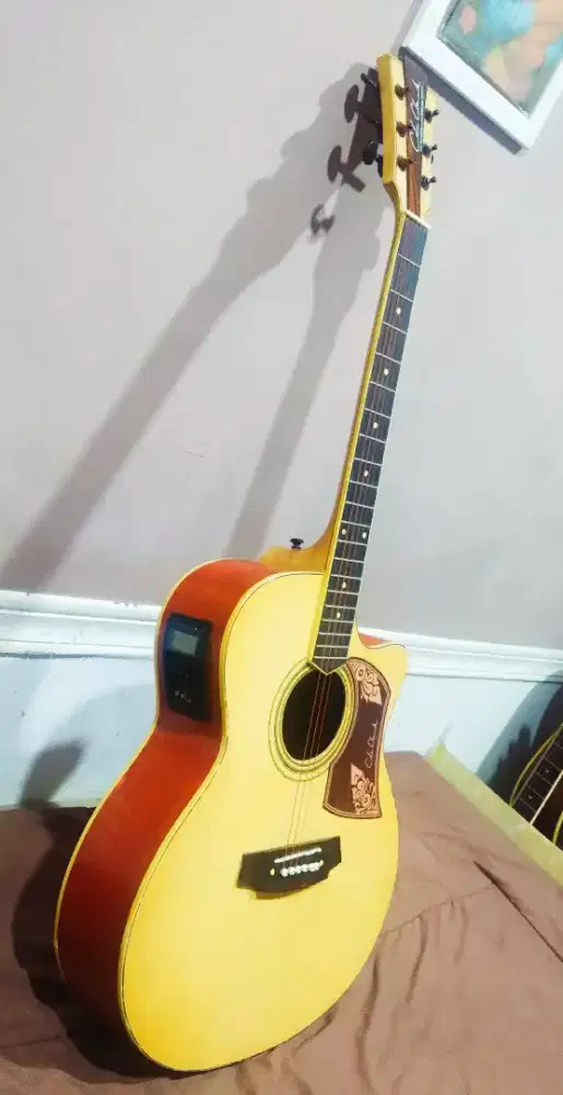 Gitar akustic electric Coleckark original full senar elixir baru