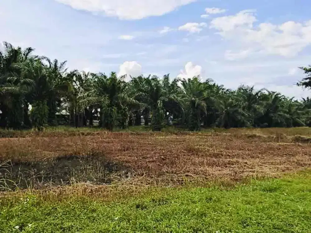 Tanah 16.000 Meter Tandem Tanjung Pura