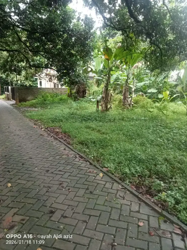 Dijual tanah murah dan aman