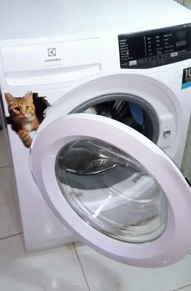 Jual cepat Mesin cuci frontloading Electrolux 8kg touchscreen,normal