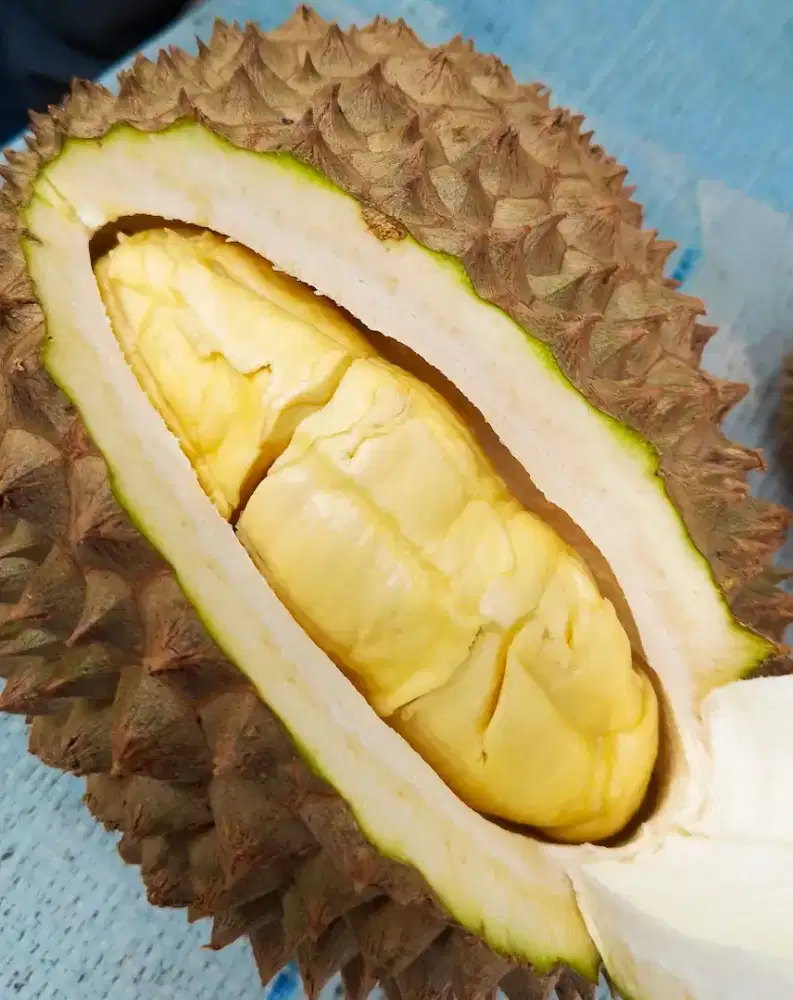 Durian lokal matang