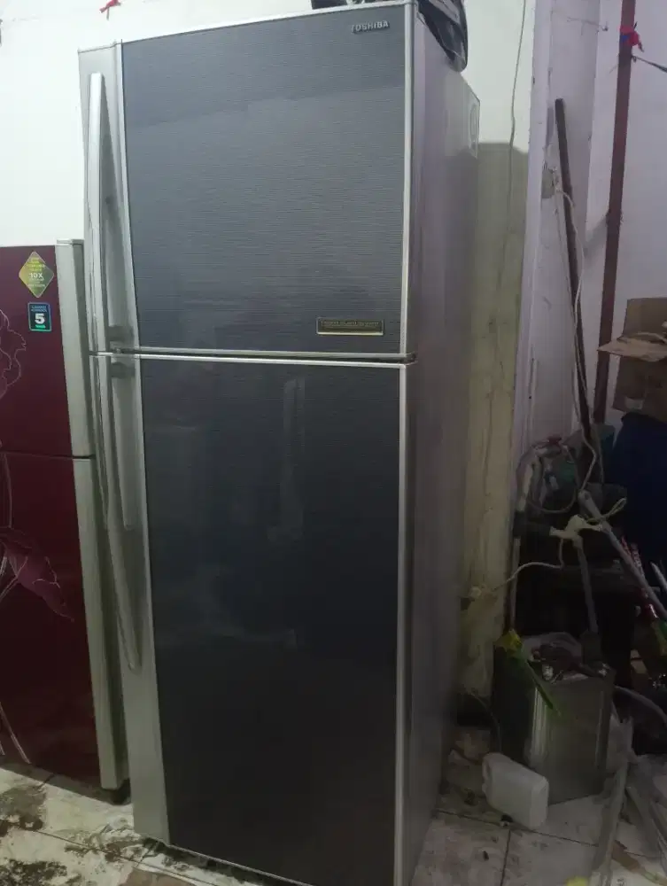 Kulkas Toshiba GR MG48 ED