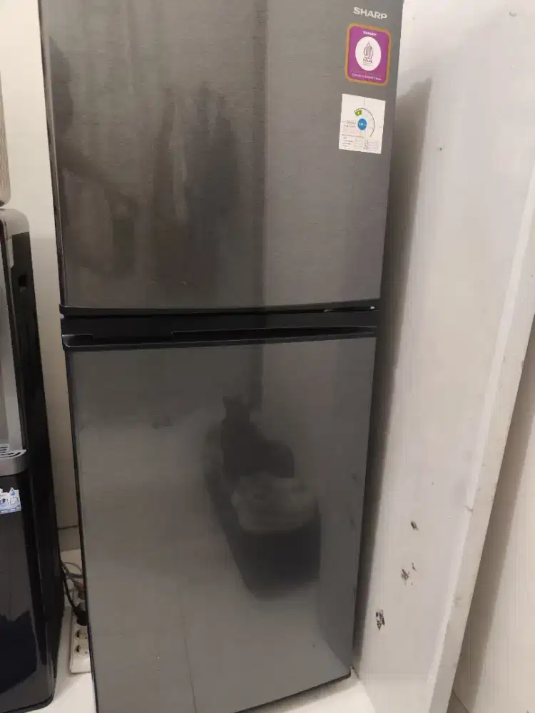 Jual Murah Sharp Kulkas 2 Pintu Tanpa Bunga Es 220 Liter