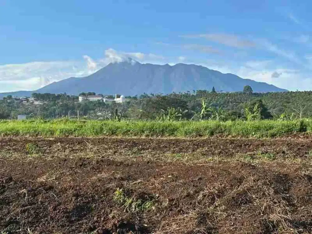 Tanah Puncak Dekat Jalan Raya Utama Potensial