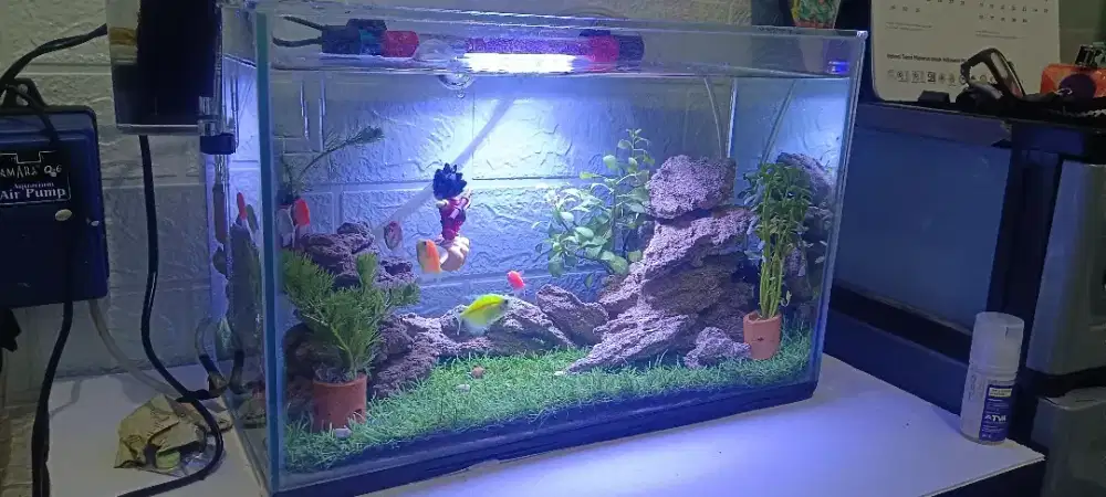 Aqurium uk P 40 cm L 20 cm T 27 cm