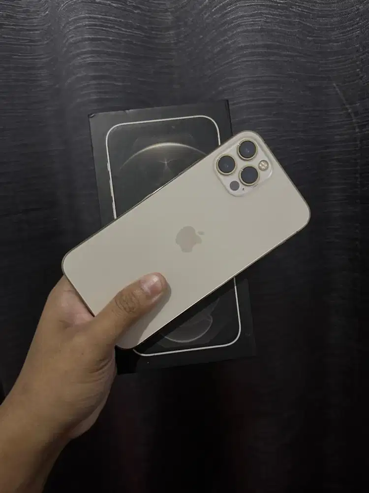 iPhone 12 Pro 256GB Resmi iBox