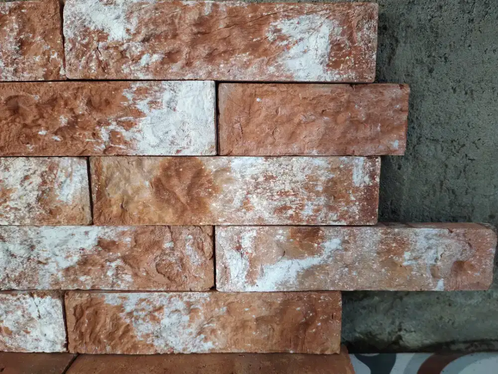 Bata Tempel Vintage¹¹